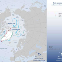 Drift Ice